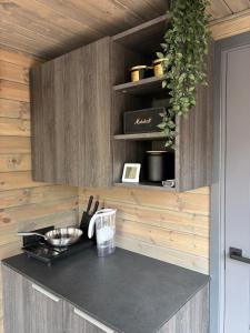 Sidrabgrava - Luxury cabin in woods