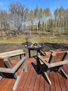 Sidrabgrava - Luxury cabin in woods