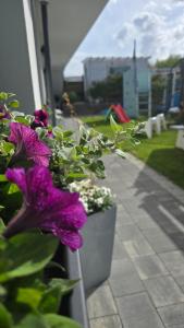 Apartamenty Perła Bałtyku