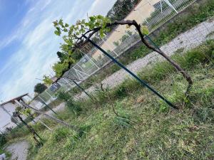 Villas Evasion a 30 min de Toulouse : photos des chambres