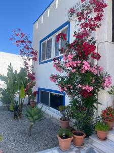 Gennadi Sun Apartments 300m from the beach