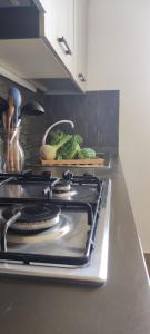 Le Camine SPA, clima, parking, giardino