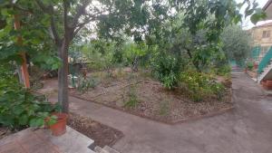 Villa Rosa delle rose