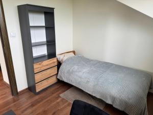 Carpatia Loft