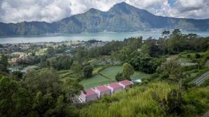 The Jungle Sunrise Private Room and Jacuzzi