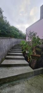 The Jungle Sunrise Private Room and Jacuzzi