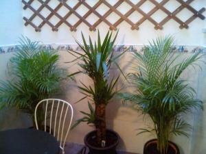 Príncipe Real Charming 1BR,BA Private Courtyard