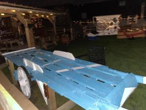 AU SOMMET DES NARCISSES