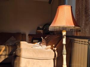 Wildstone Krusi - Pool & Apartments