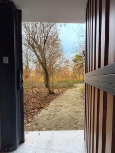 Yoga Zen, apartament z tarasem i widokiem na park