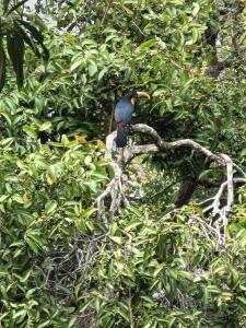Conforto e privacidade na natureza