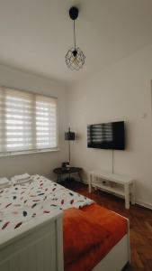 Cozy & Bright Garden Flat