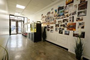 New Loft 3 min to Childrens Hospital Sleeps 4