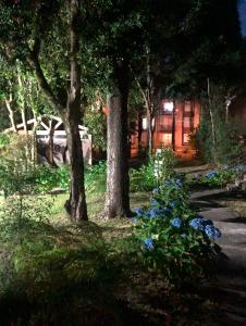 Nice and comfortable apartment in Pucon