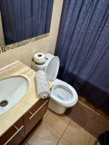 Apartamentos Orquídea Suite