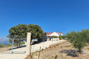Family friendly house with a swimming pool Praznica, Brac - 24570