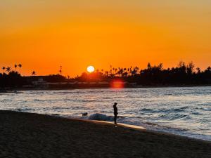 Las Terrenas La Dolce Vita 7, Captivating and Exciting