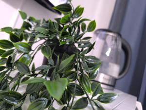 3 Persons Room, 1min walk from South Wimbledon Station