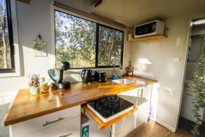 Tiny House Farmstay at Dreams Alpaca Farm - A Windeyer Outback Experience