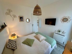 Charmant 2 pièces, balcon, proche centre-ville Cabourg, 4 pers, parking sécurisé - FR-1-487-360