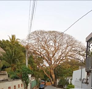 Zonte Rooftop Studio Apartment w Terrace-AC-Wif-BBQ