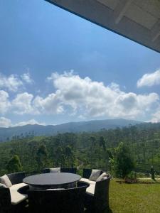 The Eight at Willows