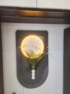 Seogwipo Hineni Dokchae Pension 2nd Branch Newly Built in April 25