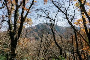 COCO VILLA 長瀞-Sauna-