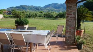 Ringo, the true Tuscany Country House