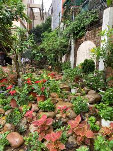 Jackfruit Homestay