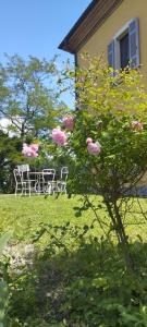 Pietra Corva - Monticello Apartments