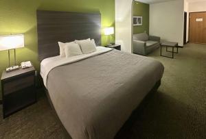 Standard King Suite - Non-Smoking room in Quality Suites San Antonio