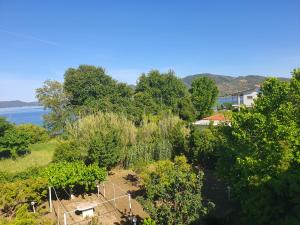 Lou Apartments & Hostel