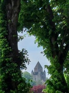 Maisons de vacances Clair de lune : Maison 1 Chambre