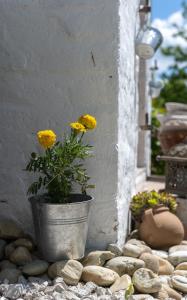 Nózsi-hegyi vendégház