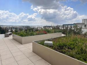 Appartements Duplex Avec Terrasse Dans Le Ciel Bordelais : Appartement 1 Chambre