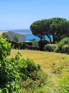 Appartement terrasse vue mer
