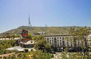 Panoramic Studio Apt in Tbilisi Center - By Wehost
