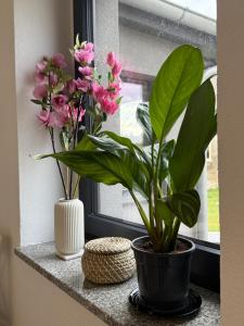 Mams-Cottage-Brunhilde