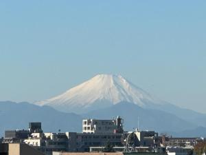 Hideko Apartment 6mins train to Ikebukuro