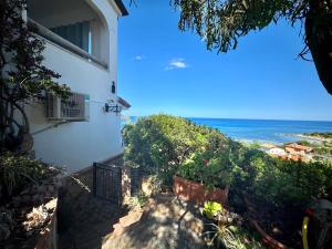 Sea View Joy Collection img24