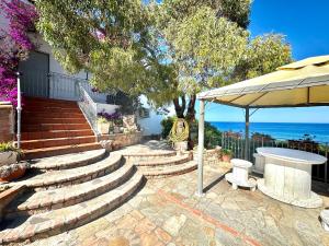 Sea View Joy Collection img16