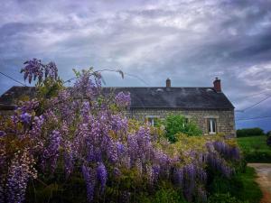 Vakantiehuis in groene oasis
