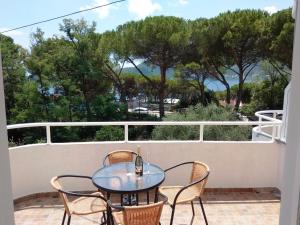 Apartmani TOPLA - Zlokovic - apartman A3 i apartman A4