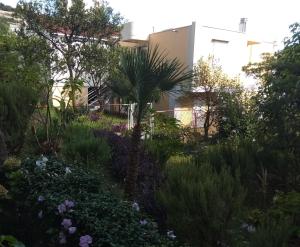 Apartmani TOPLA - Zlokovic - apartman A3 i apartman A4