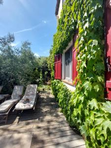 Maisons de vacances Domica : photos des chambres