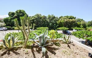 Appartements Pet Friendly Apartment In Cervione : photos des chambres