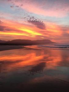 Natures Valley Health Retreat A Hide away in the Forest