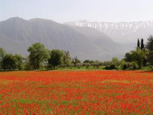 Casa de 4 dormitorios