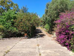 fmp-ps01 villa 300 metri mare 4 letto